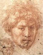 Head of a Young Man Andrea del Sarto
